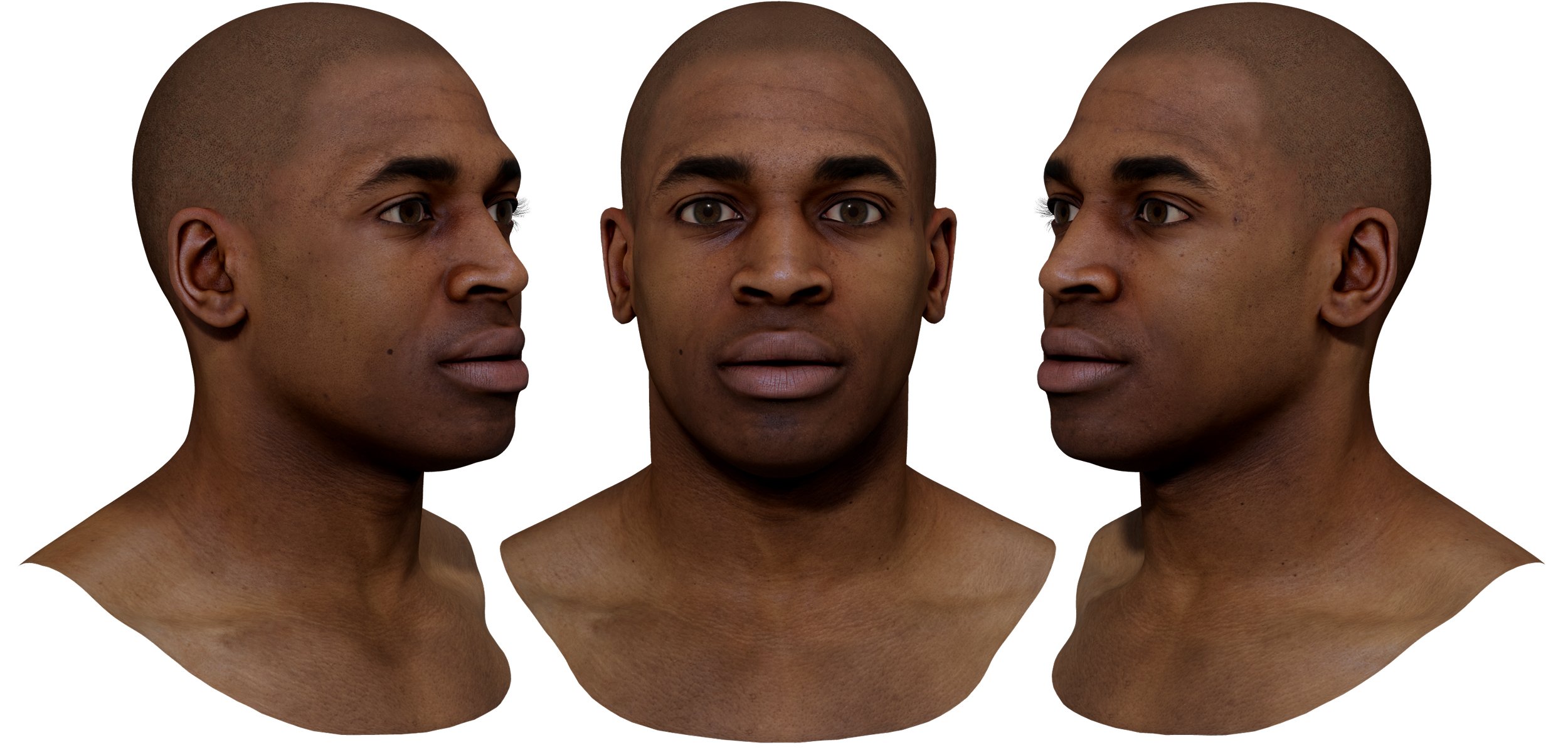 Download Male 3D Head model